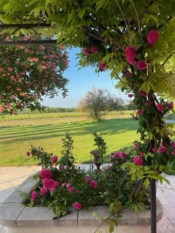 Villa Avec Pool House Au Coeur Des Vignes - Luberon La Tour-dʼAigues