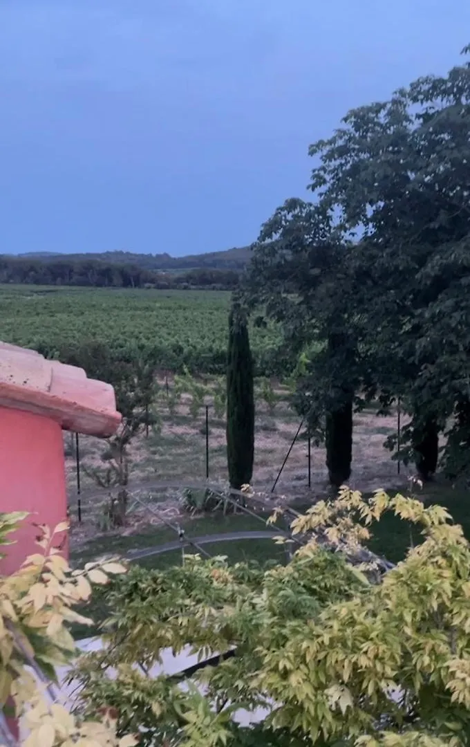 Villa Avec Pool House Au Coeur Des Vignes - Luberon La Tour-dʼAigues Γαλλία
